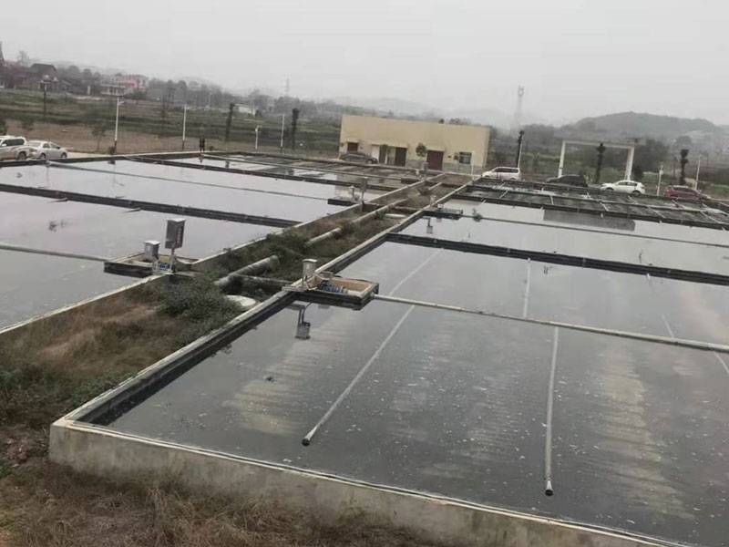 人(rén)工(gōng)快(kuài)滲池4